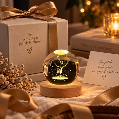 Boules de cristal 3D lumineuses